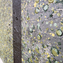 Load image into Gallery viewer, Original Abstract Lichen Artwork