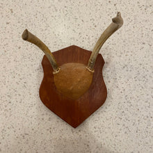 Load image into Gallery viewer, Antler Mount