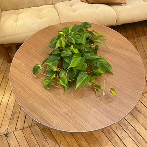 Round Tulip Base Coffee Table