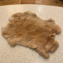 Load image into Gallery viewer, Fur Pelt

