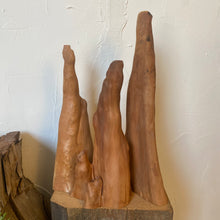Load image into Gallery viewer, Cypress Root Set
