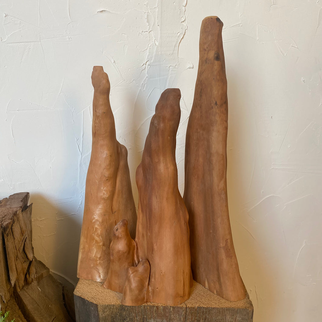 Cypress Root Set