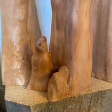 Load image into Gallery viewer, Cypress Root Set
