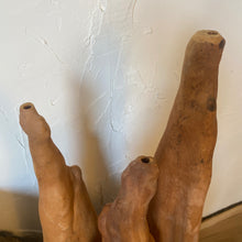Load image into Gallery viewer, Cypress Root Set
