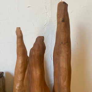 Cypress Root Set