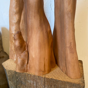 Cypress Root Set