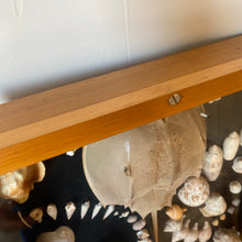 Load image into Gallery viewer, Seashell Shadowbox
