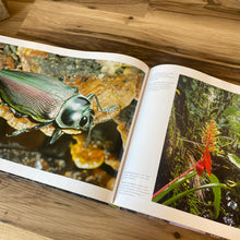 Load image into Gallery viewer, Rainforest Coffee Table Book
