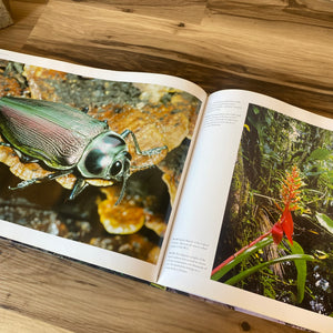Rainforest Coffee Table Book