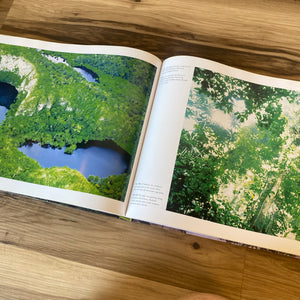 Rainforest Coffee Table Book