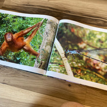 Load image into Gallery viewer, Rainforest Coffee Table Book
