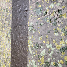 Load image into Gallery viewer, Original Abstract Lichen Artwork
