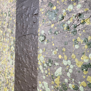 Original Abstract Lichen Artwork