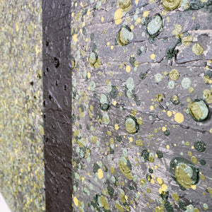 Original Abstract Lichen Artwork