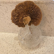 Load image into Gallery viewer, Textured Glass Vase with Mushroom
