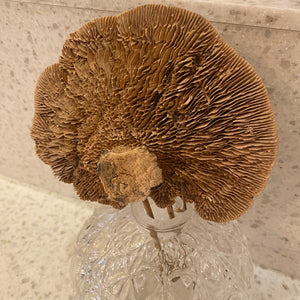 Textured Glass Vase with Mushroom