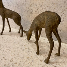 Load image into Gallery viewer, Vintage Brass Deer
