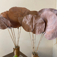 Load image into Gallery viewer, Dried Stems
