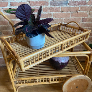 Bamboo Bar Cart