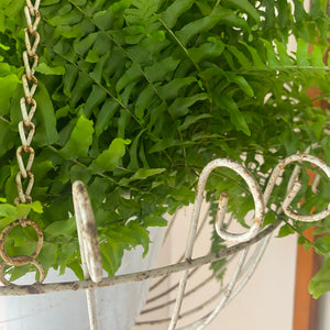 White Metal Hanging Basket