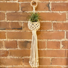 Load image into Gallery viewer, Air Plant Holder

