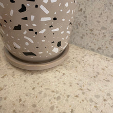 Load image into Gallery viewer, The Terrazzo Pot
