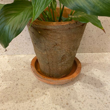 Load image into Gallery viewer, The Aged Terra Cotta Pot
