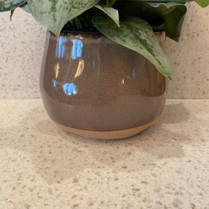 The Mojave Pot