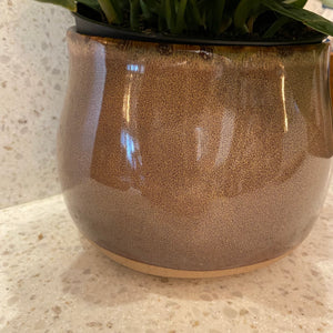 The Mojave Pot