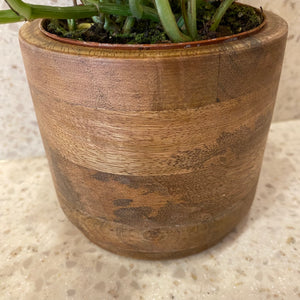 The Wooden Cache Pot