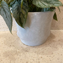 Load image into Gallery viewer, The Classic Concrete Pot
