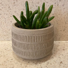 Load image into Gallery viewer, The Etched Concrete Pot
