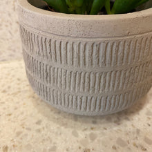 Load image into Gallery viewer, The Etched Concrete Pot
