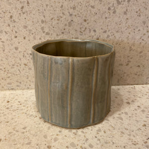 The Eucalyptus Planter