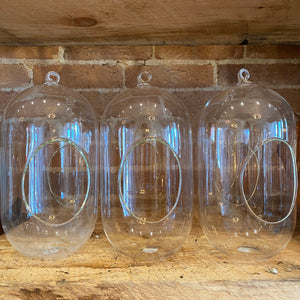 Cylindrical Glass Terrarium