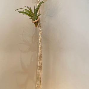 Macrame Air Plant Holder