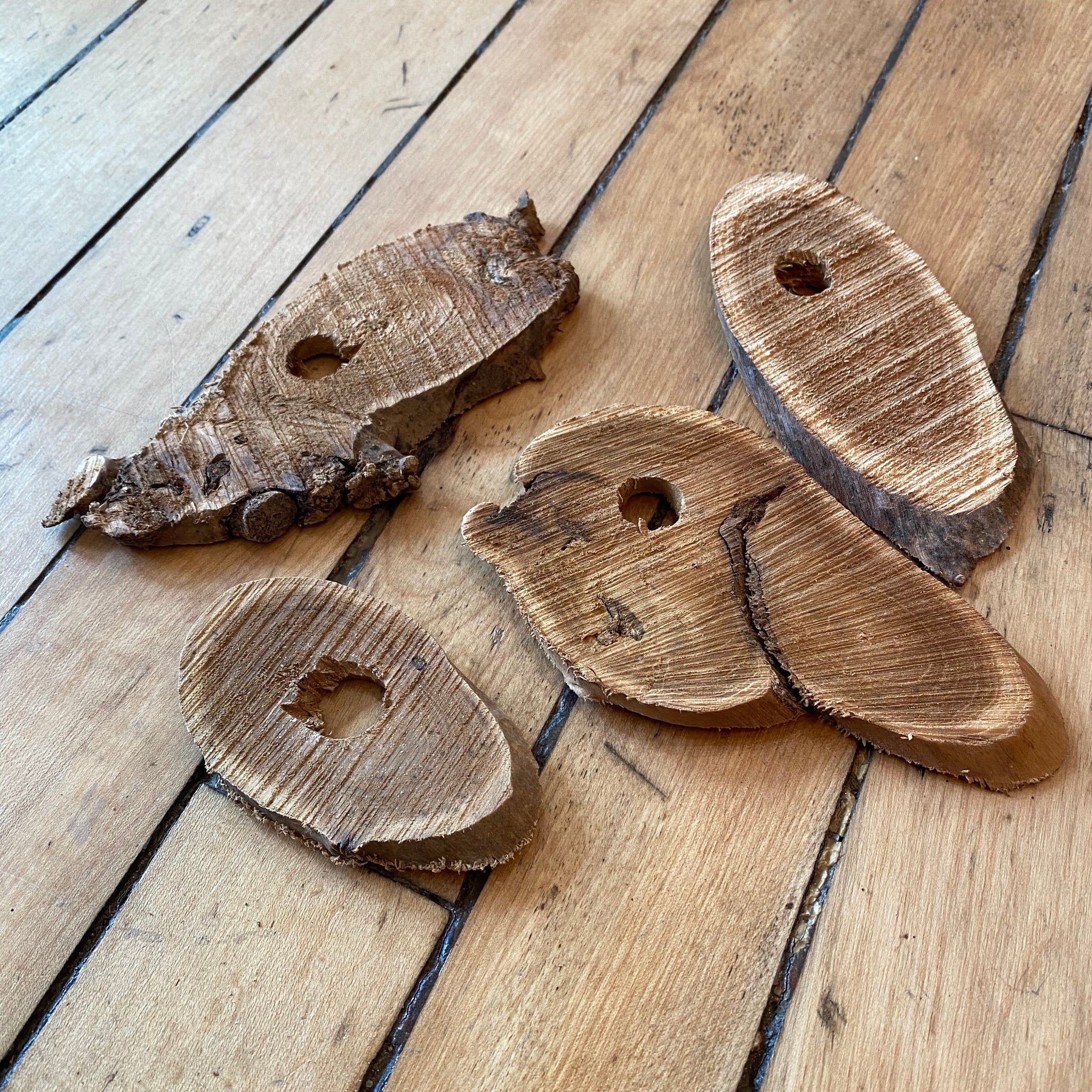 wood slice plant hanger Wood Slice Air Plant Holder – REmix Design