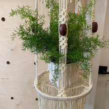 Load image into Gallery viewer, Vintage Macrame Plant Hanger
