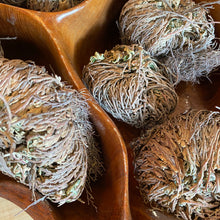 Load image into Gallery viewer, Rose of Jericho Plant

